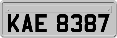KAE8387