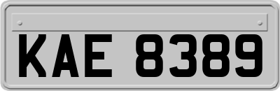 KAE8389