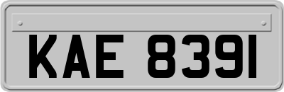 KAE8391