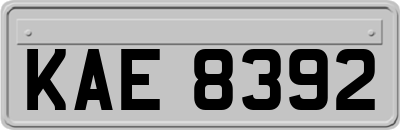 KAE8392