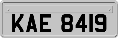 KAE8419