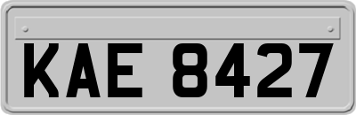 KAE8427