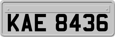 KAE8436