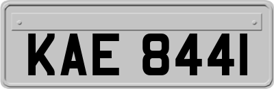 KAE8441