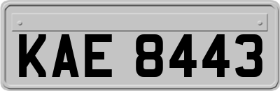 KAE8443