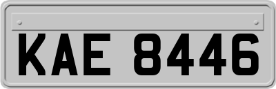 KAE8446