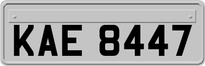 KAE8447