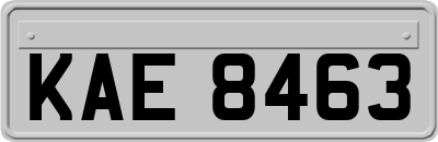 KAE8463
