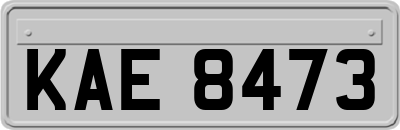 KAE8473