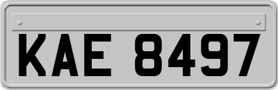KAE8497