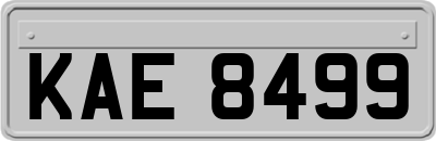KAE8499