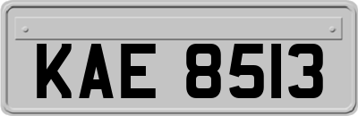 KAE8513