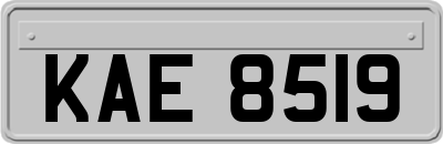 KAE8519