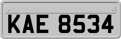 KAE8534