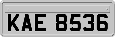 KAE8536