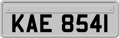 KAE8541