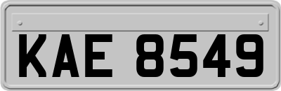 KAE8549