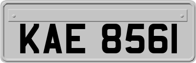 KAE8561