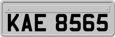KAE8565