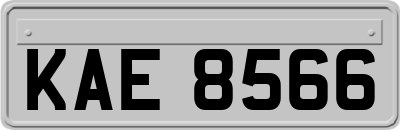 KAE8566