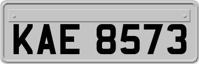 KAE8573