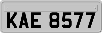 KAE8577