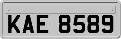 KAE8589