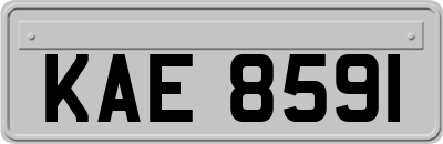KAE8591