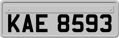 KAE8593