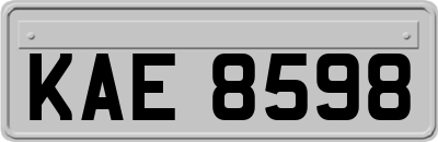 KAE8598