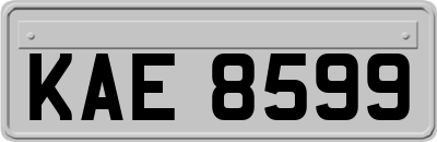 KAE8599