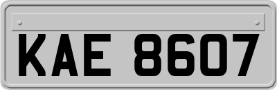 KAE8607