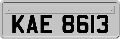 KAE8613