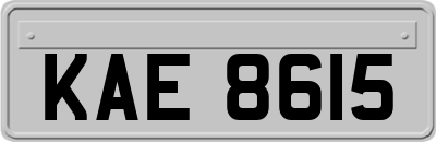 KAE8615