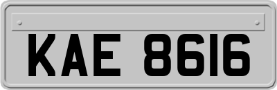 KAE8616