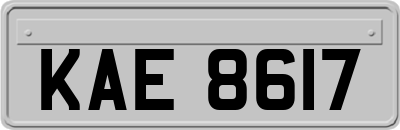 KAE8617