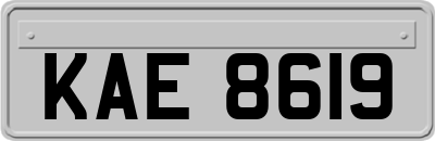 KAE8619