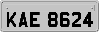 KAE8624