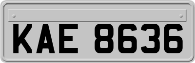 KAE8636