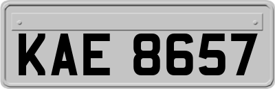 KAE8657