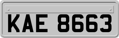 KAE8663