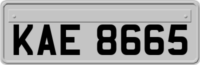 KAE8665