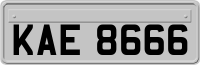 KAE8666