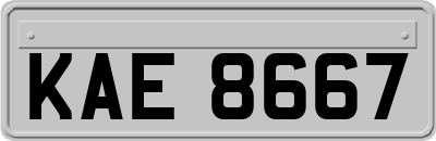 KAE8667