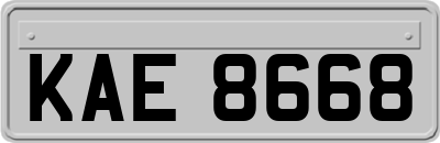KAE8668