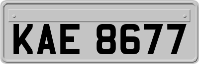 KAE8677