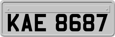 KAE8687