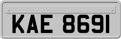 KAE8691