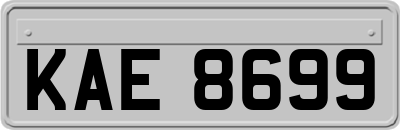 KAE8699