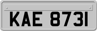 KAE8731